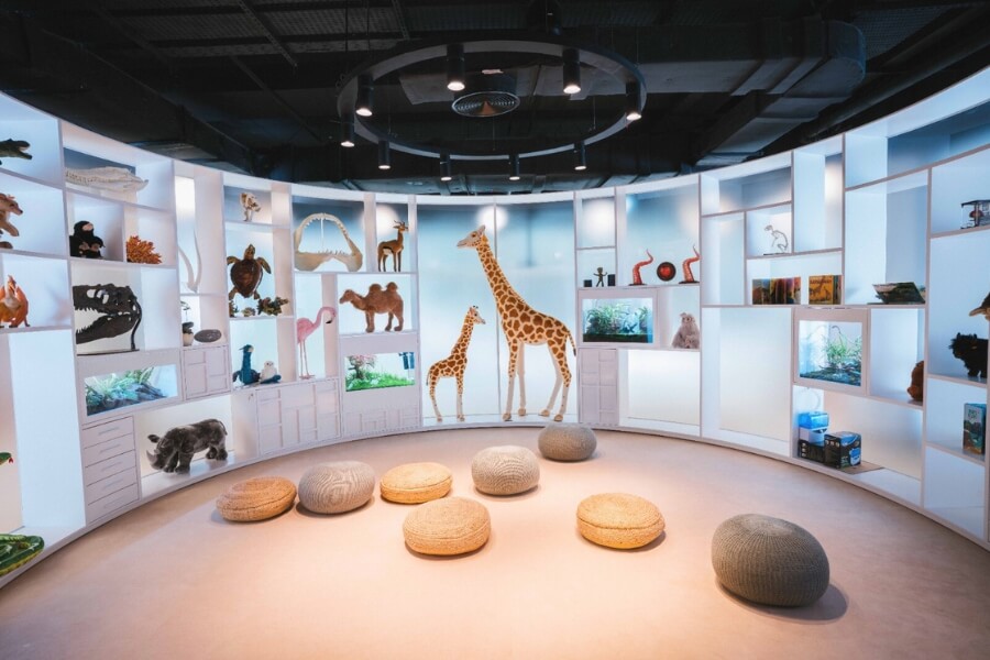 inside the Children's library abu dhabi cultural foundation