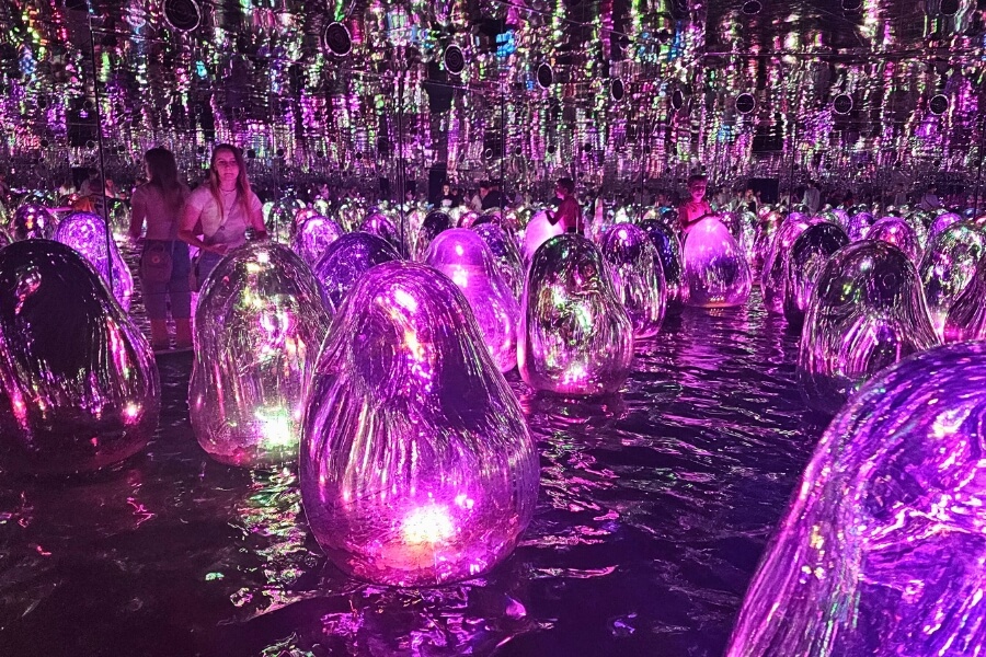 teamlab phenomena abu dhabi